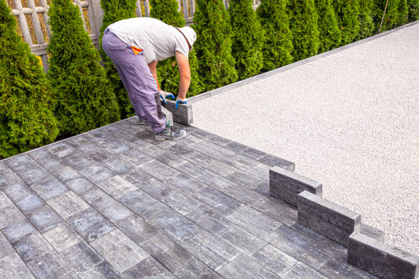 Best Driveway Paving Contractor  in Foreman, AR